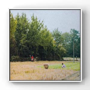 印度肥妇孕妇视频
